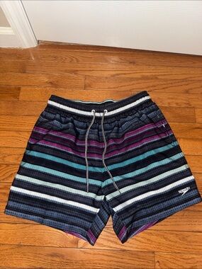Speedo Men’s Striped Swim Shorts